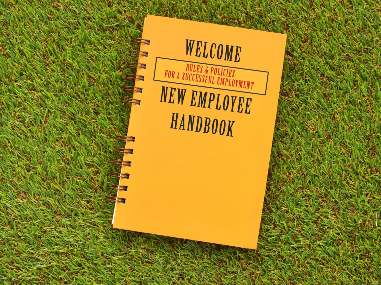 Can We Have Multiple Versions Of Our Employee Handbook 